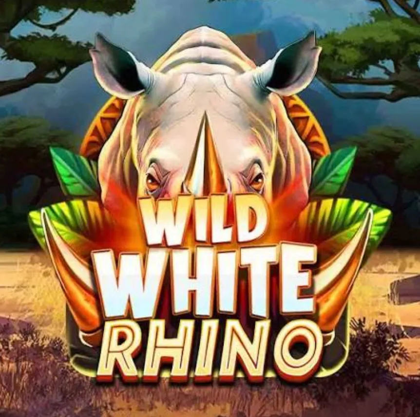 Wild White Rhino