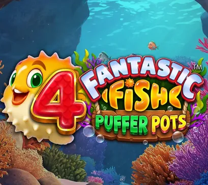 4 Fantastic Fish Puffer Pots