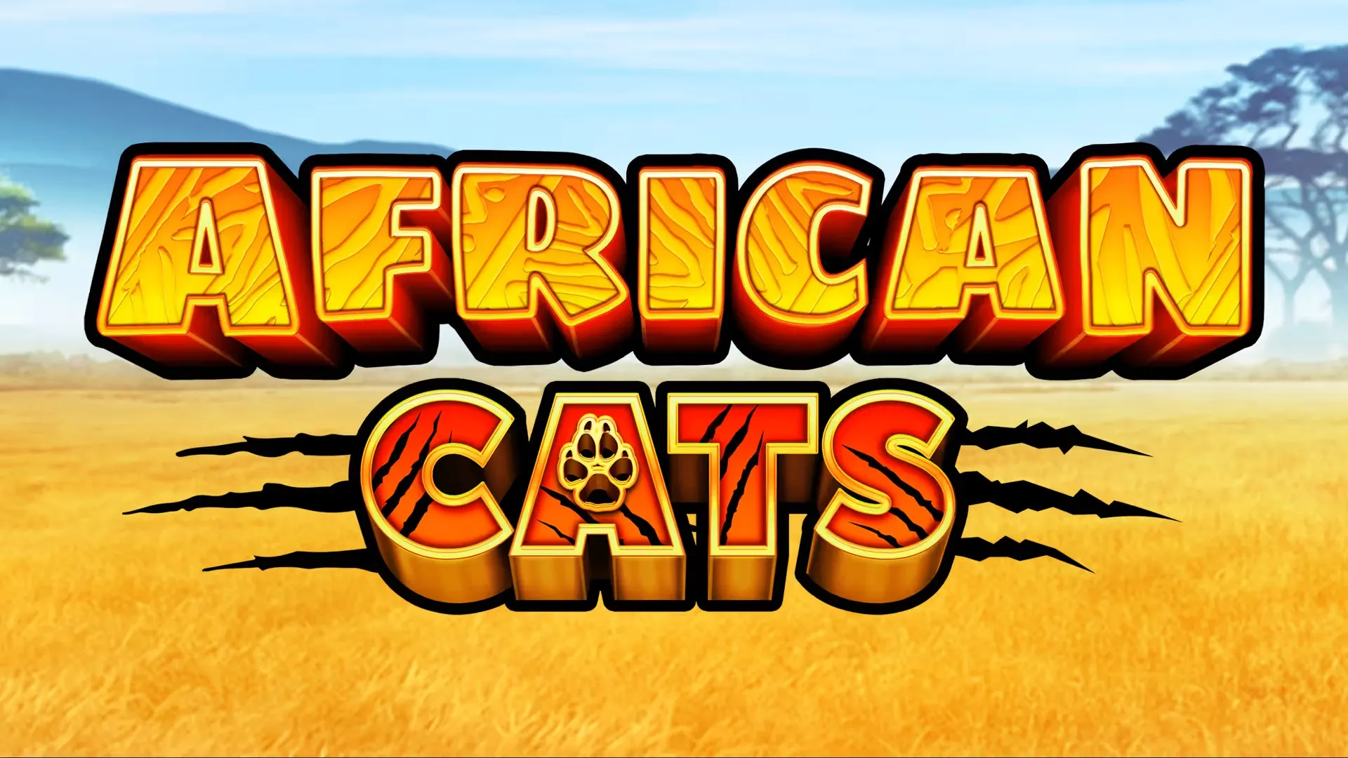 African Cats